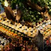 Heringschmaus 2012 - Vorspeisenbuffet